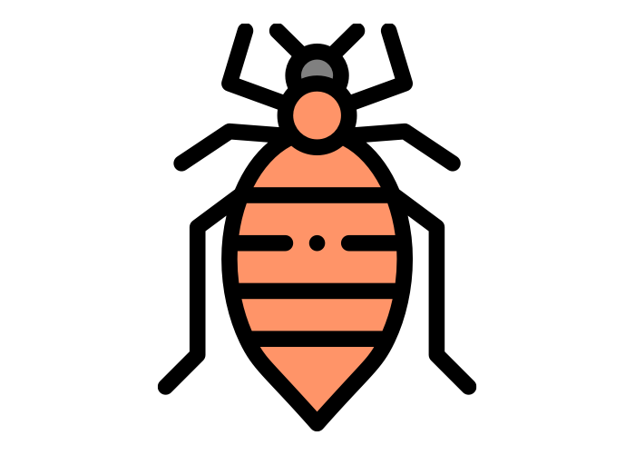 cartoon bed bug from Franklin Pest Solutions
