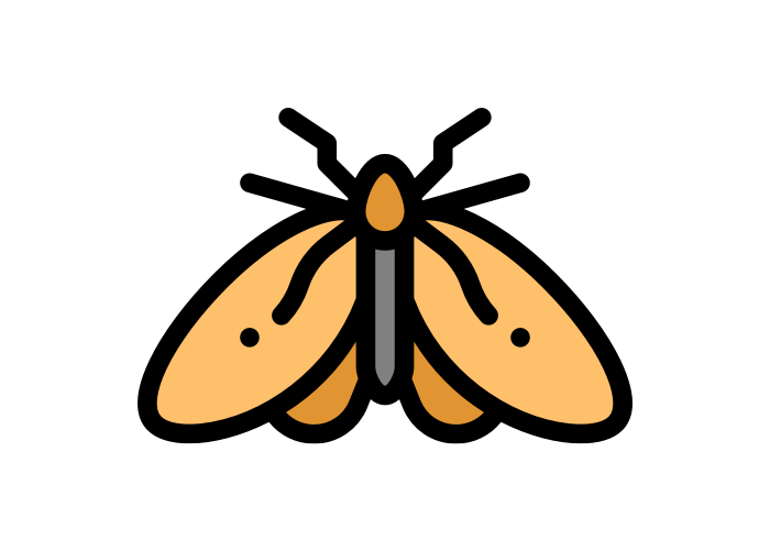cartoon moth from Franklin Pest Solutions