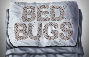Bed bugs spelled out on pillow by Franklin Pest Solutions