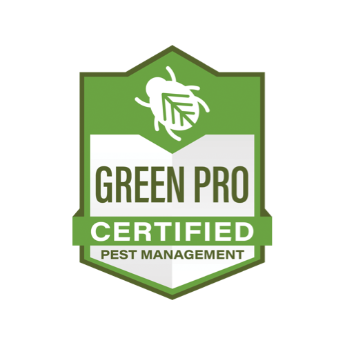 franklin pest solutions green pest control experts