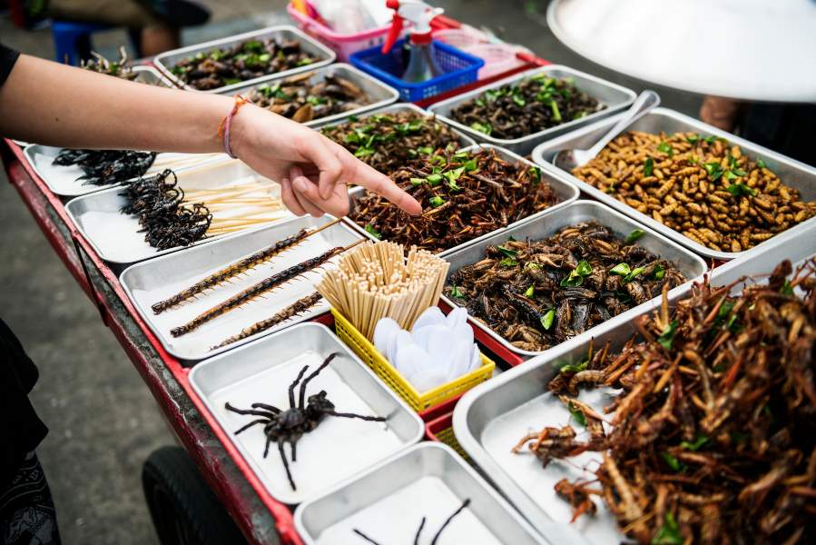 bugs at a salad bar