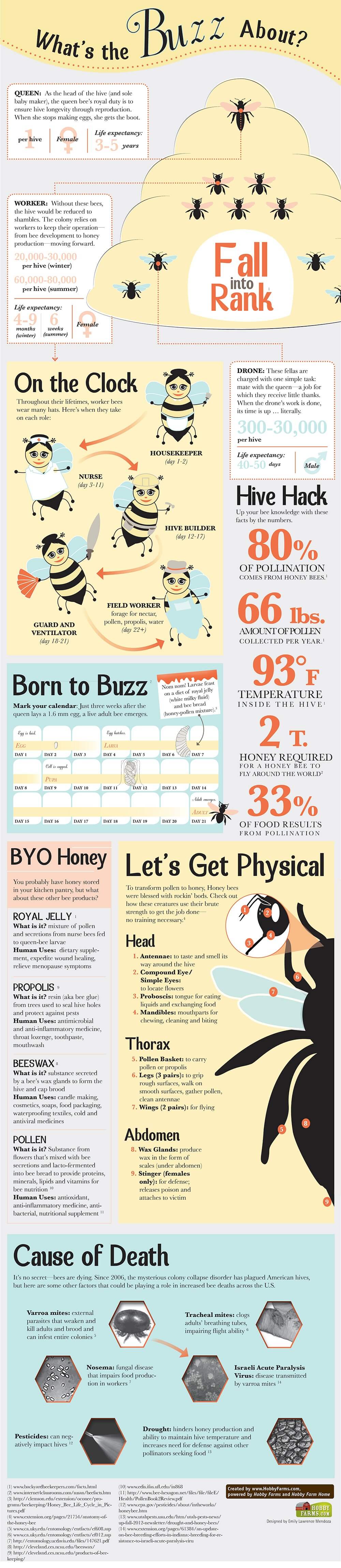 Bee Graphic