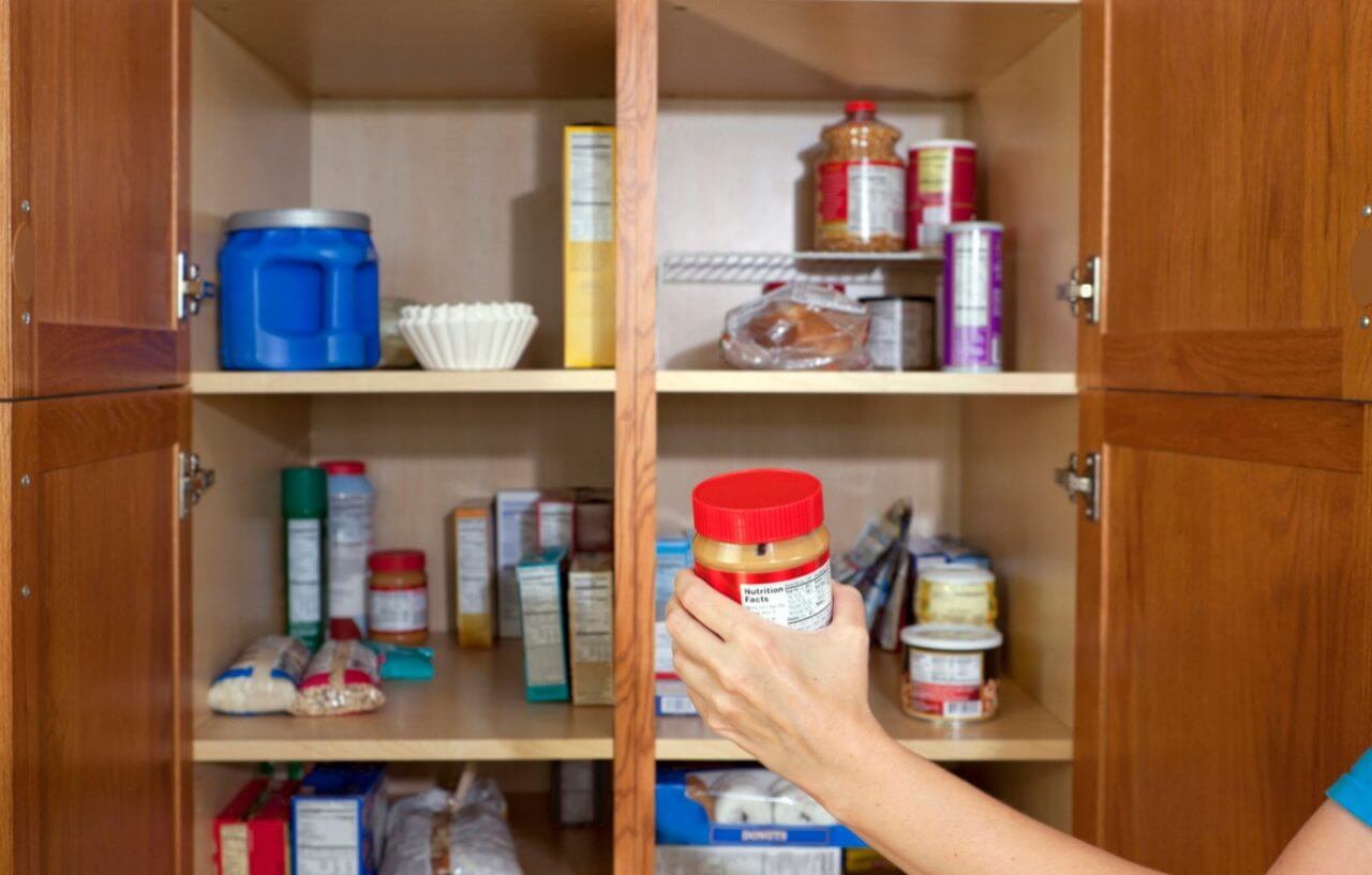 A Pest Technician Performing Pest Service at the Pantry in Northfield, IL