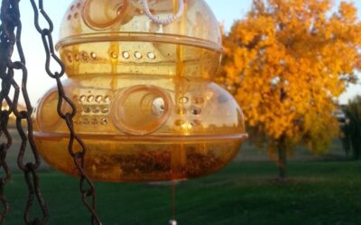 7 tips for fall pest prevention before it’s too late!