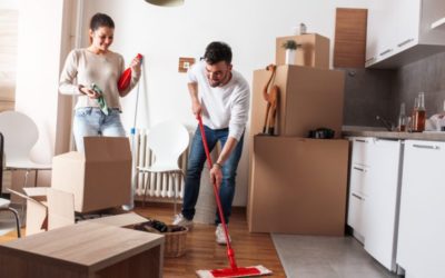 Pest proofing and Other Spring Pest Tips