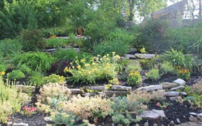 Franklin Sponsors Pollinator Pathway Garden at Washington Park Zoo