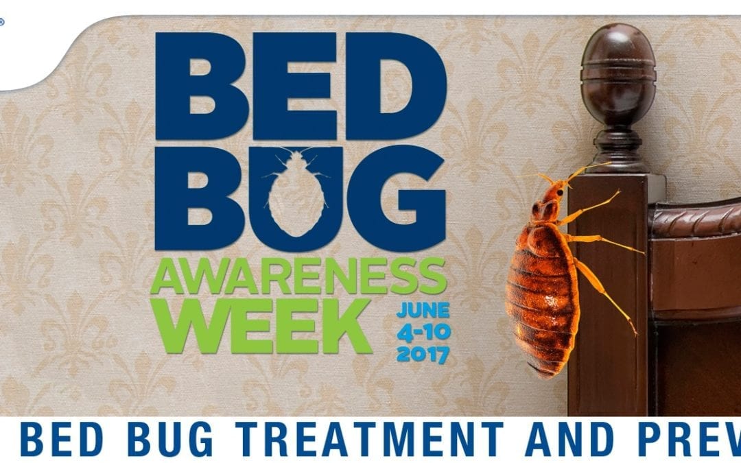 Bed Bug Awareness Week 3: Treatment and Prevention