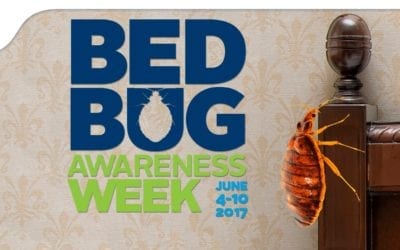 Bed Bug Awareness Week: Introduction and Awareness