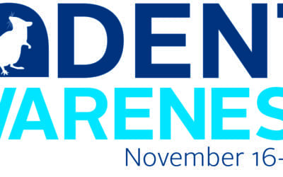 Get rid of mice TODAY!