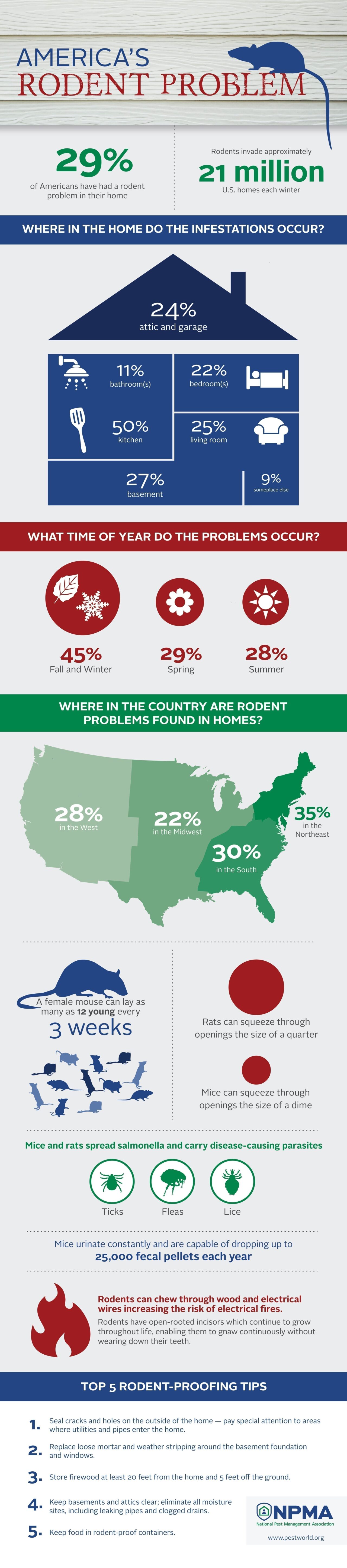 Rodent_Omnibus_Infographic