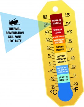 TR_Thermometer_High_Res_2.jpg