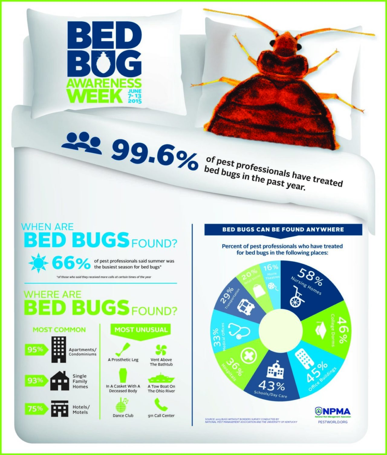 Bed Bug Info In One Convenient Infographic Franklin Pest Solutions