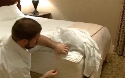 Keep Bed Bugs Out Of Your Vacation Plans!