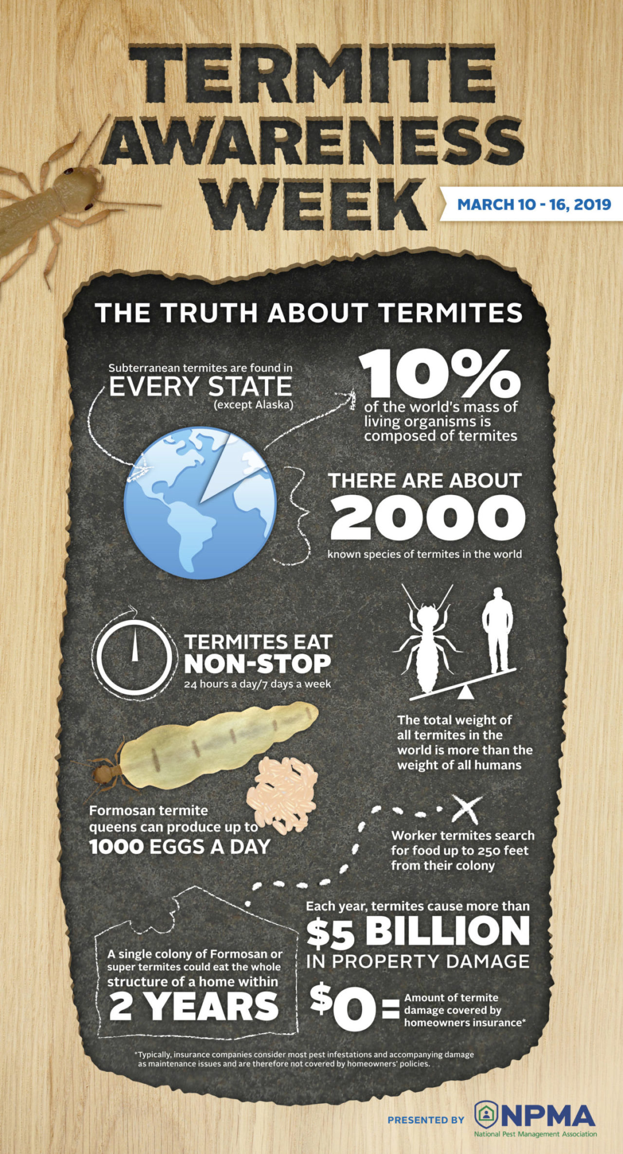 rose termite awareness week
