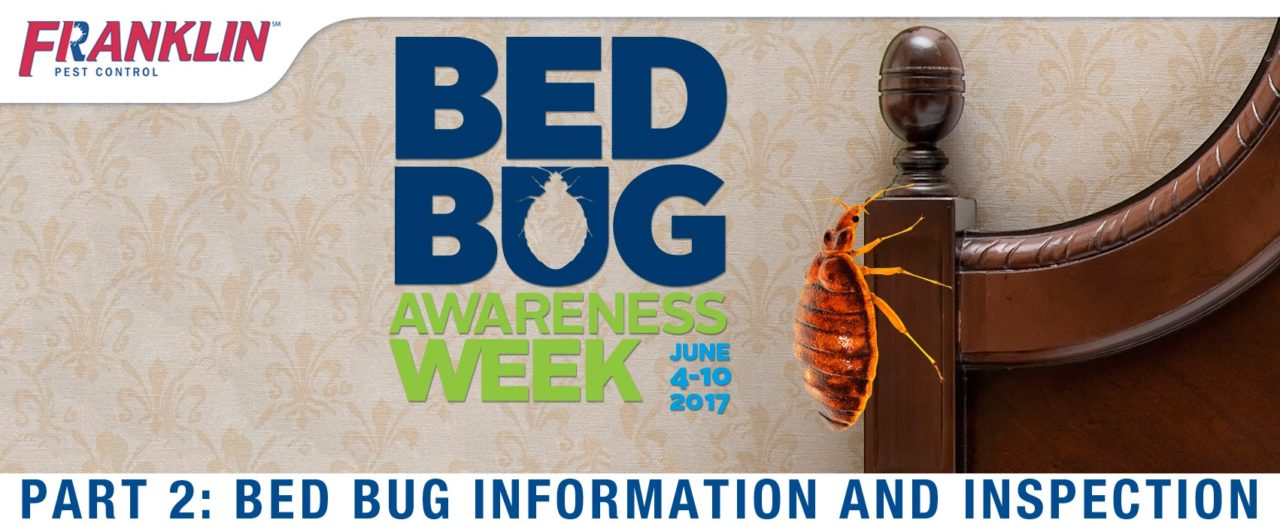 FRANKLIN_bed_bug_awareness_week_part_two.jpg