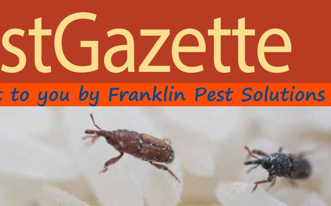 It’s Time for the 2017 Fall Pest Gazette