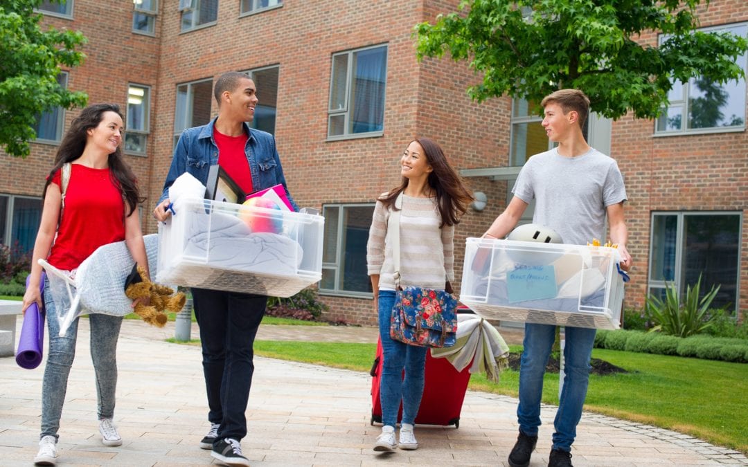 How to avoid bedbugs while traveling this season