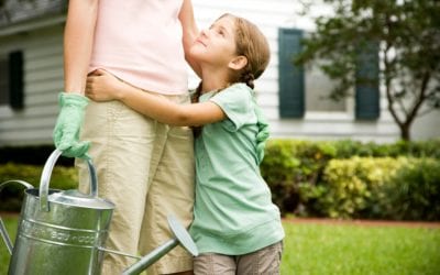 Mosquito Control Services-A Must This Year?