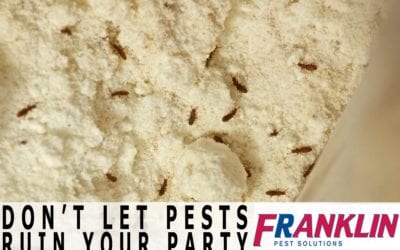 Don’t Let Pantry Pests Ruin Your Party