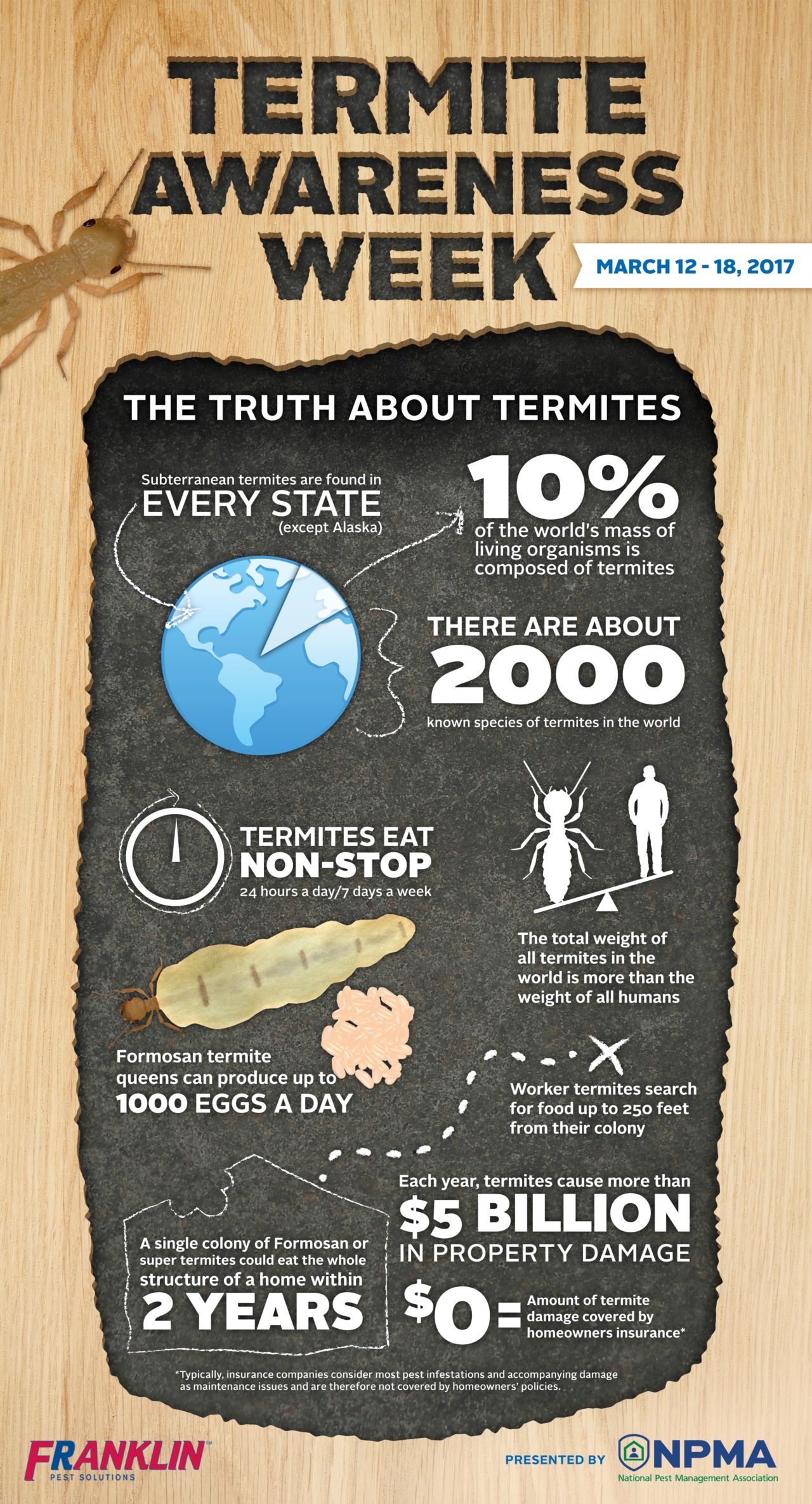 franklin_termite-awareness-week-infographic-2017-.jpg