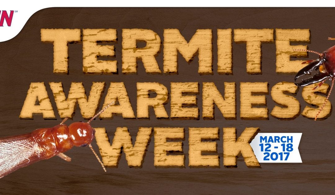 This is Termite Awareness Week