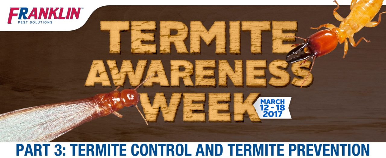 franklin_termite_awareness_week_partthree.jpg