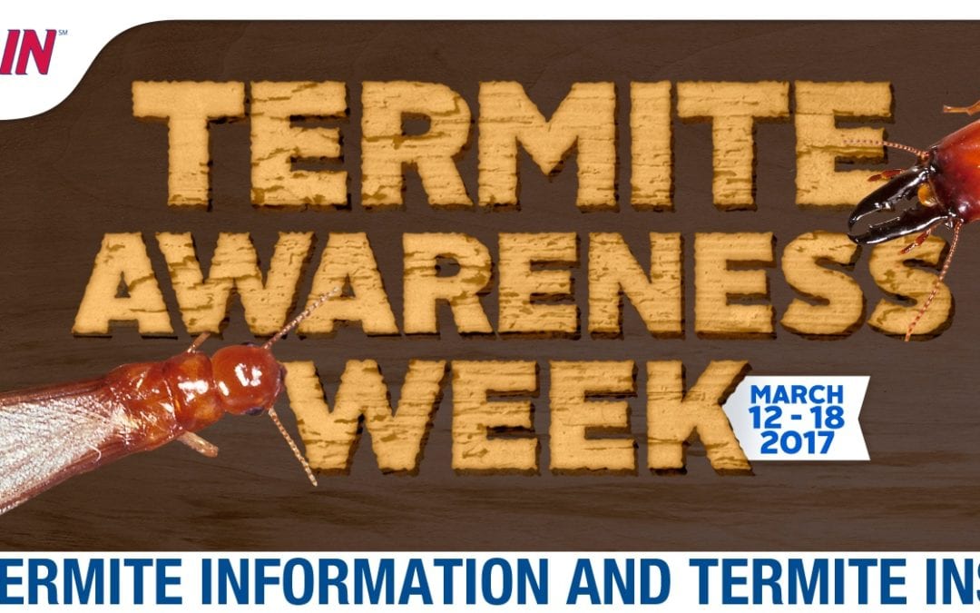 Termite Awareness Week: Inspection and Information
