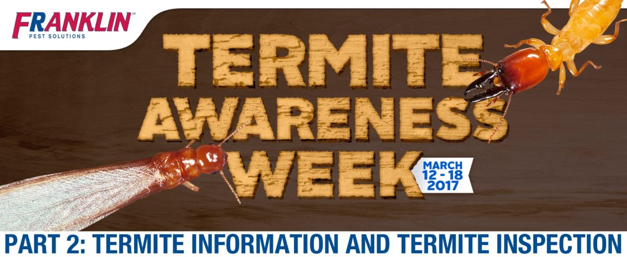 franklin_termite_awareness_week_parttwo.jpg