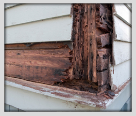 signs of termite damage