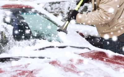 Are Rodents Going to Work in Your Vehicle?