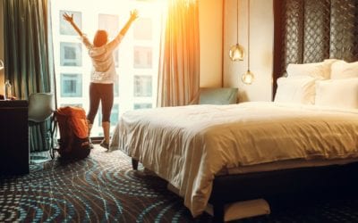 Bed Bugs, the Souvenir You Can’t Return