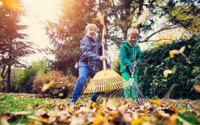 Keep Fall Pests Out!