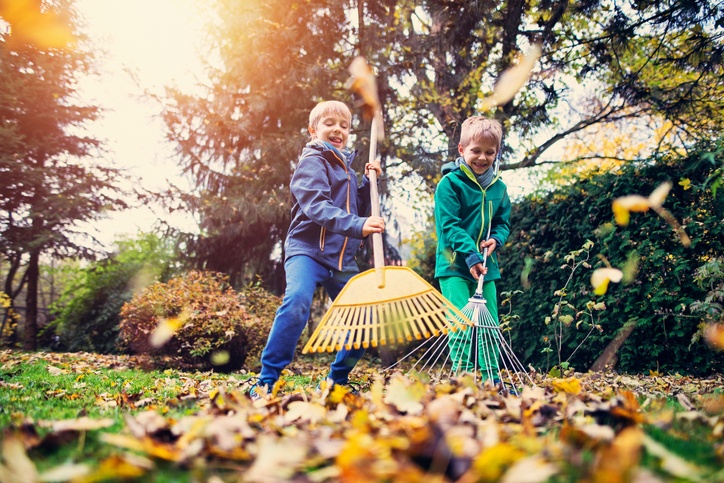 Keep Fall Pests Out!