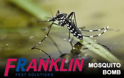 It’s A Mosquito Services Info Bomb!