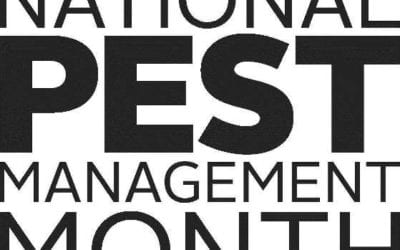 Home pest control Indiana. Pest proof your home this spring!