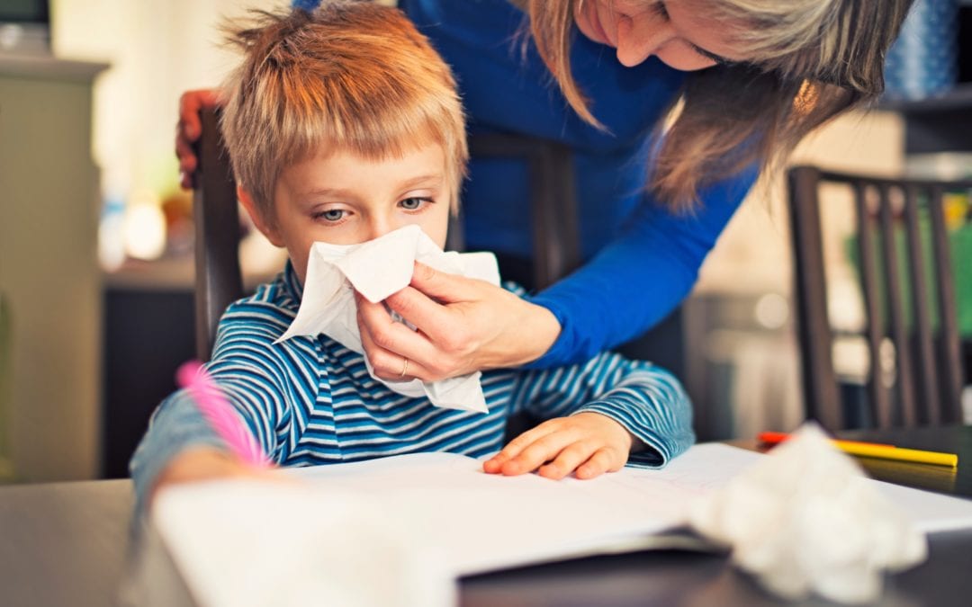 How to Prevent Allergies and Asthma Caused by Bugs