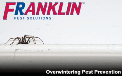Keep Overwintering Pests at Bay This Fall