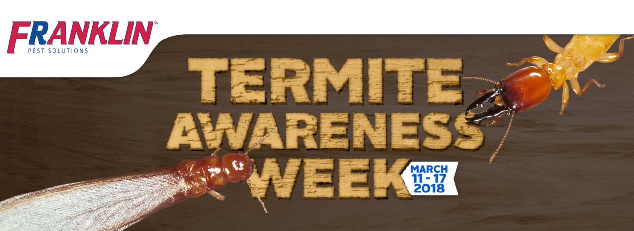 termite-awareness-week.franklinpestsolutions.png