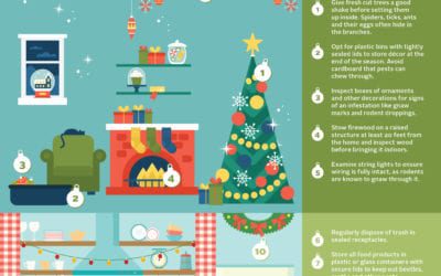6 Key Tips to Holiday Pest Proofing