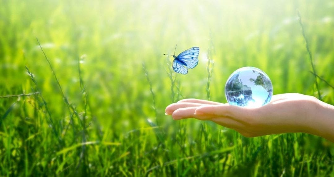 Commitment to Protecting Health