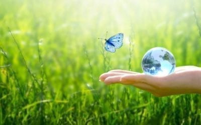 Commitment to Protecting Health