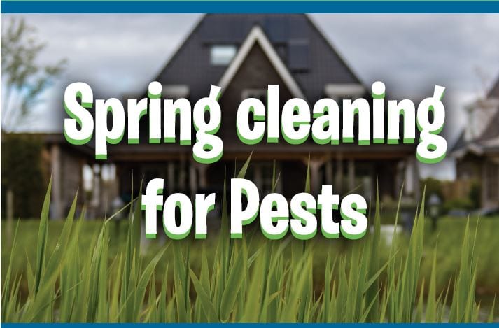 Spring cleaning for pests