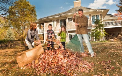 5 Tips to Get Rid of Fall Pests