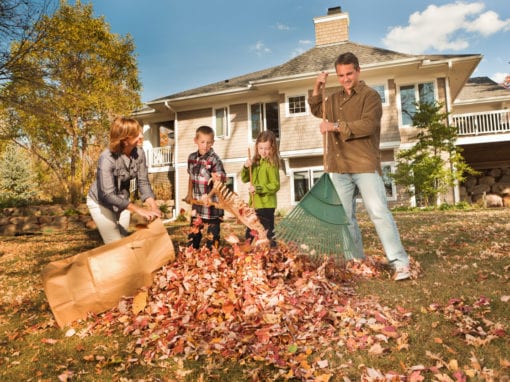 Franklin Pest Solutions teaches you the top 5 steps to keep fall pests out