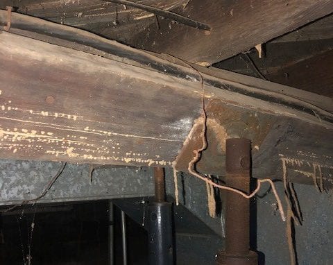 Termite webs in abandoned house,IN