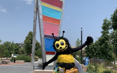 Zippy’s Top 5 Indy Summer Spots! ☀️🐝