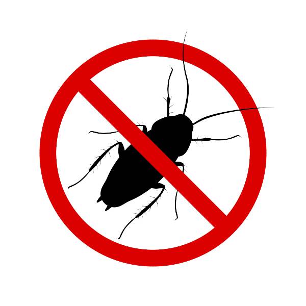 no bugs