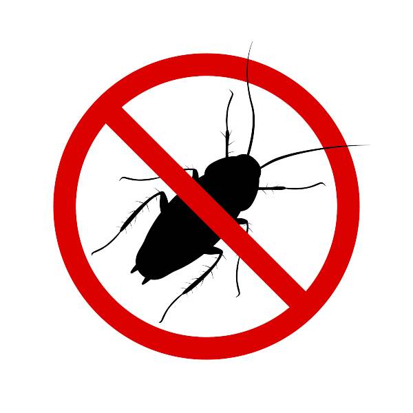 no bugs no bugs