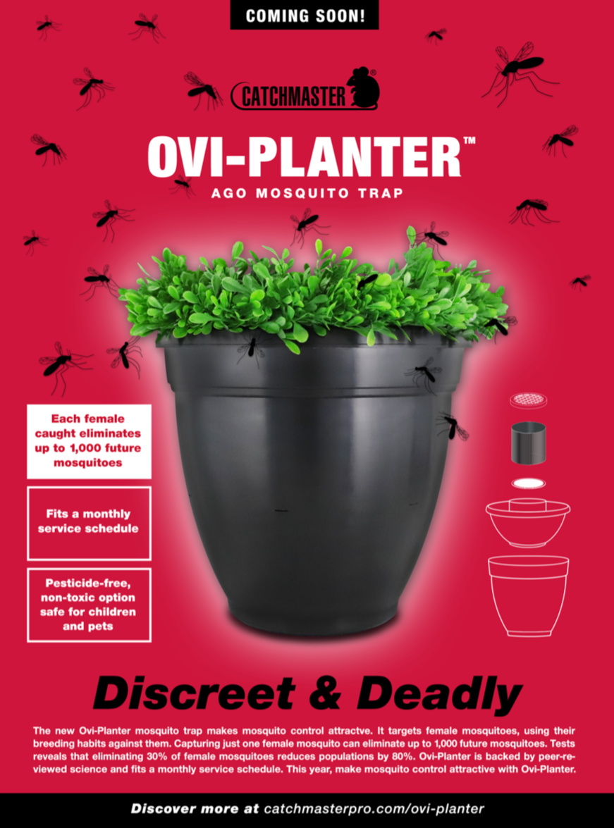 Mosquito Prevention Flying & Stinging Insects Franklin Pest Solutions