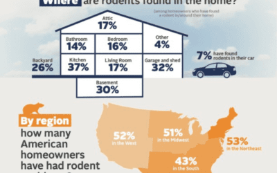 Are mice really that bad? Rodents revealed inside.